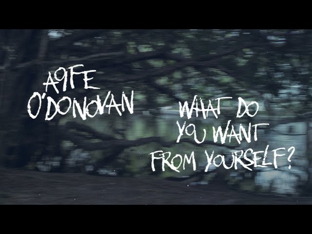 Aoife O'Donovan - "What Do You Want From Yourself?" [Official Audio + Lyrics]