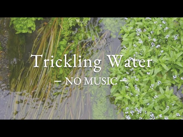 NO MUSIC 3 HRS - Gentle Water Sounds | Trickling Water | Water ASMR | Flowing Water