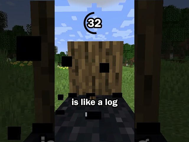 Guess the Minecraft block in 60 seconds 5