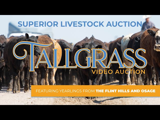 2022 Tallgrass Video Auction