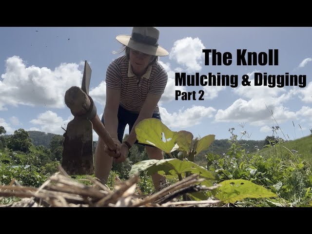 The Knoll Part 2 - Mulching & Digging - Regenerative Farming a Farming Revolution