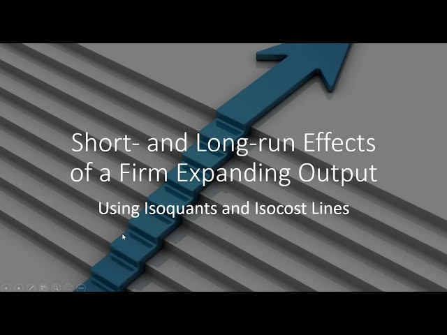 Short- and Long-Run Effects of a Firm Expanding Output