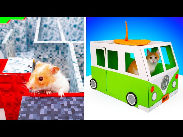 DIY Hamster Maze and DIY Cat House || Crafts For Your Pets