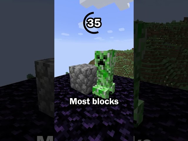 Guess the Minecraft block in 60 seconds 14