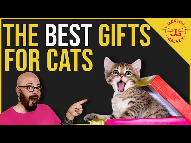 The BEST Gifts for Cats