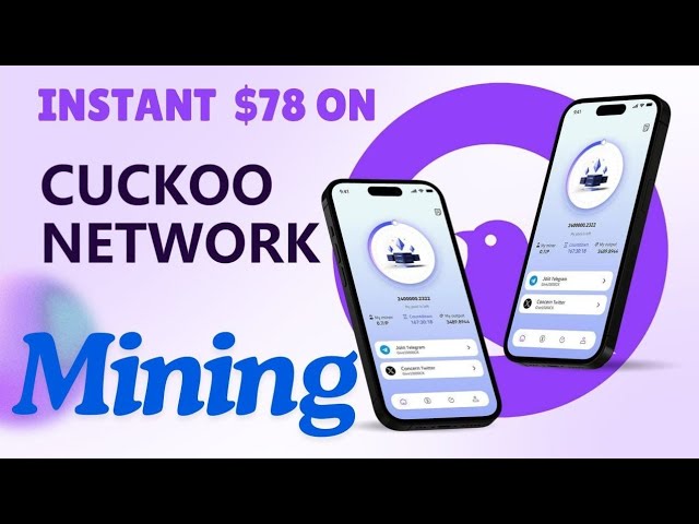 New Airdrop || Cuckoo Network New Update