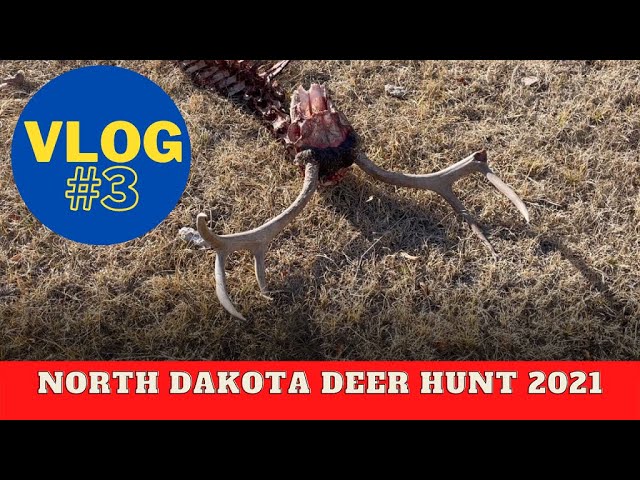 North Dakota deer hunting VLOG #3