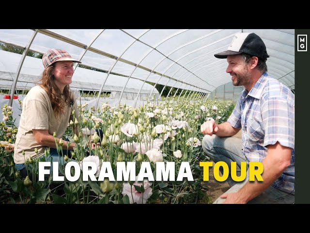 This Flower Farm Is AMAZING! | 6 Figures On 1.5 Acres?!