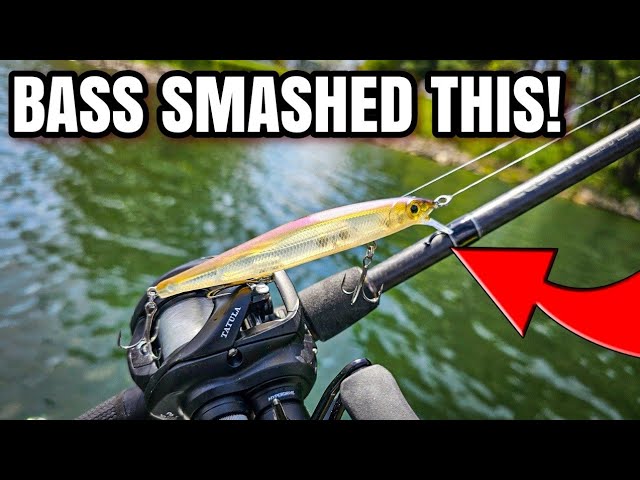 Bass WOULD NOT Stop Eating This LURE!