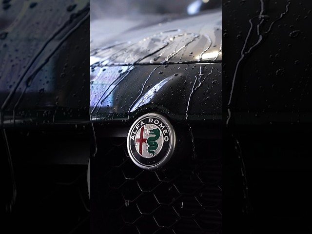 RMA PPF on this Alfa Romeo #ppf #paintprotectionfilm #alfaromeo