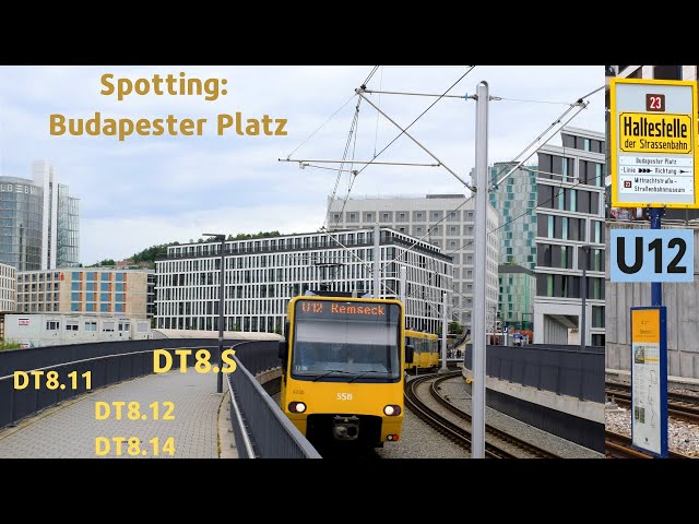 SSB-U-Bahn-Spotting auf dem Budapester Platz | SSB DT8 Mix