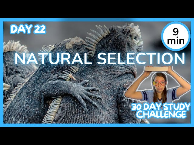 Day 22: Natural Selection - 30 Day Biology Study Challenge 2024