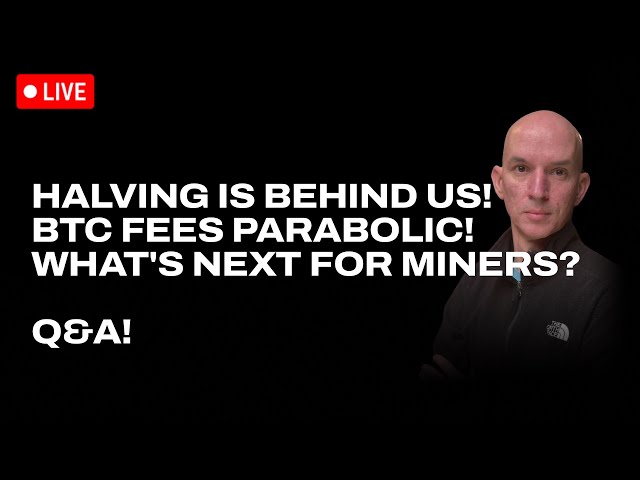 Halving SPECIAL!!! BTC Fees Going PARABOLIC! What's Next For Miners? Q&A!