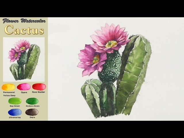 Cactus Flower - Drawing Landscape Watercolor.(Arches rough) NAMIL ART