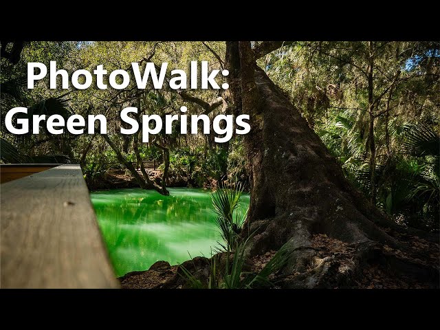 PhotoWalk Series: Green Springs Park