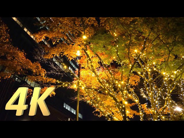 4K 東京イルミネーション / Tokyo Roppongi Midtown illumination