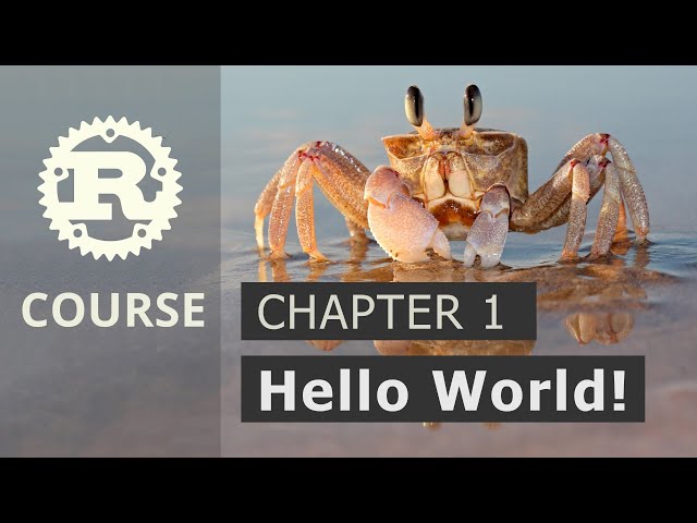 Rust Lang Course 2021 - Setup & Hello World