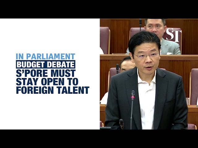 DPM Wong reiterates why Singapore must stay open to foreign talent
