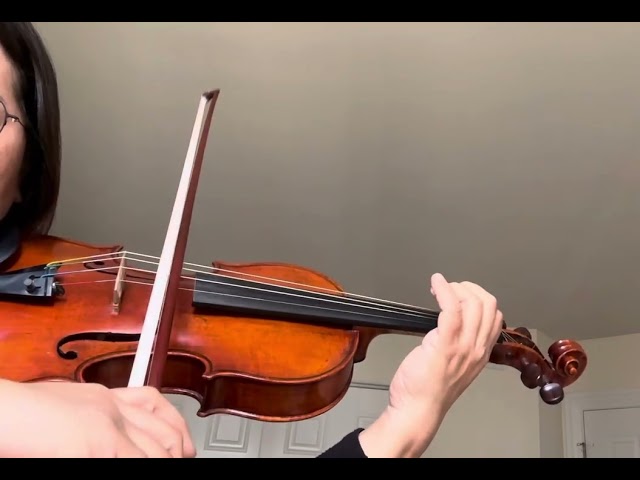 Violin concerto by A. Vivaldi Op.3, no.6, 3rd mvt. Mm 55-94, slow tempo with metronome