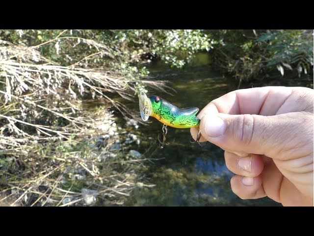 REBEL CrickHopper Popper. I Like this Topwater! Best creek lure for fish. Best lure to catch fish