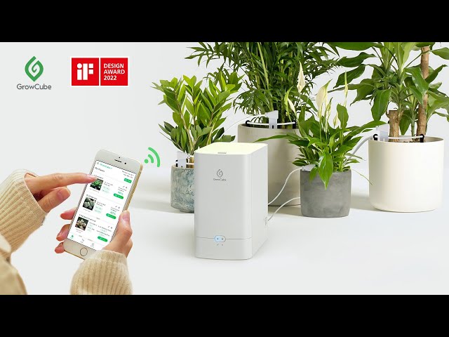 GrowCube - A smart watering kit grows your plants like a pro