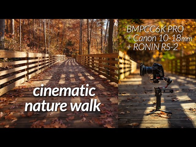 Nature Boardwalk // BMPCC6k Pro + Ronin Rs2