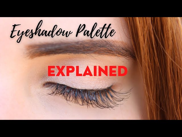 UNDERSTANDING The Eyeshadow Palette SHADES For Beginners