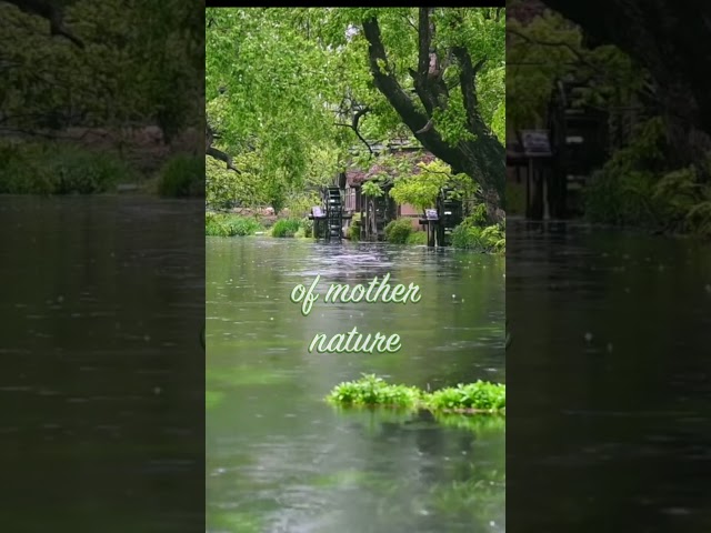 Relaxing Rain Sounds - no music - just nature
