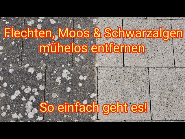Flechte, Moos & Schwarzalgen entfernen von Terrassen- und Steinplatten, mit Abacus Steinreiniger