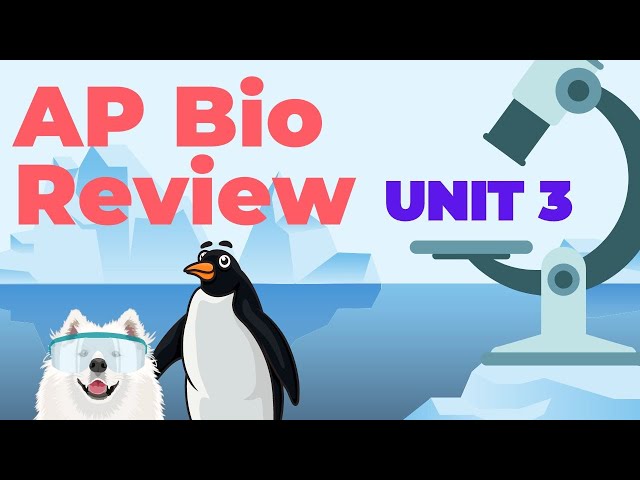 AP Biology: Unit 3 Review