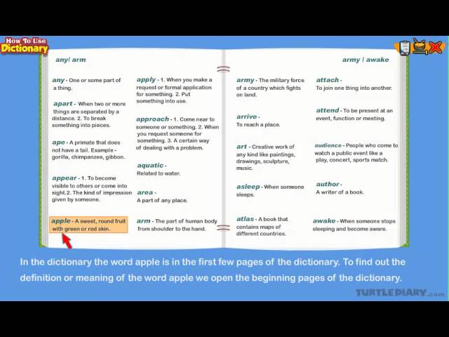 How to Use a Dictionary *Grammar for Kids*
