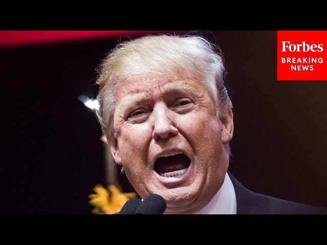 Trump Blasts 'Woke' Ideology, Critical Race Theory At Rallies | 2021 Rewind