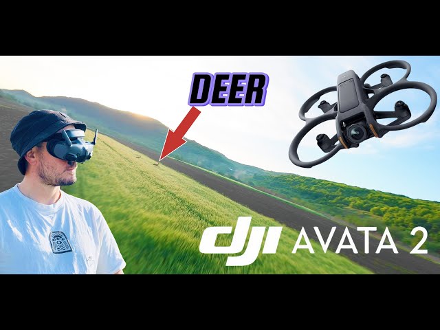 This is what I recorded in a Week of travelling with Dji AVATA 2