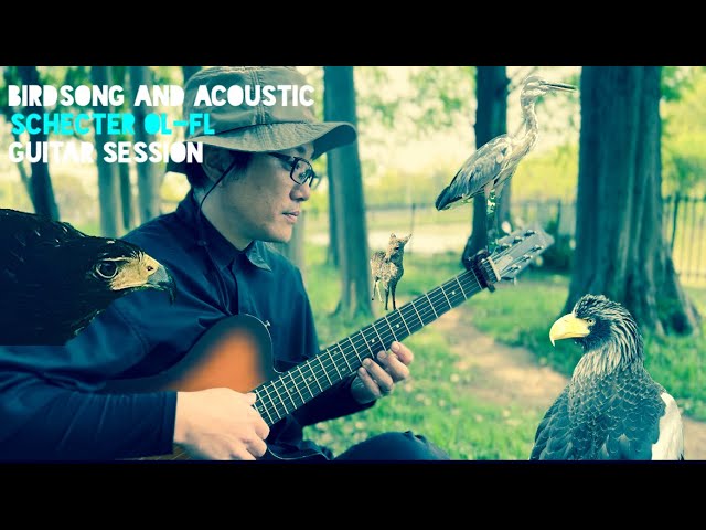 【SCHECTER OL-FL】鳥のさえずりとアコースティックギターでセッション  birds song and acousticguitar session【エレアコ/アコギ】