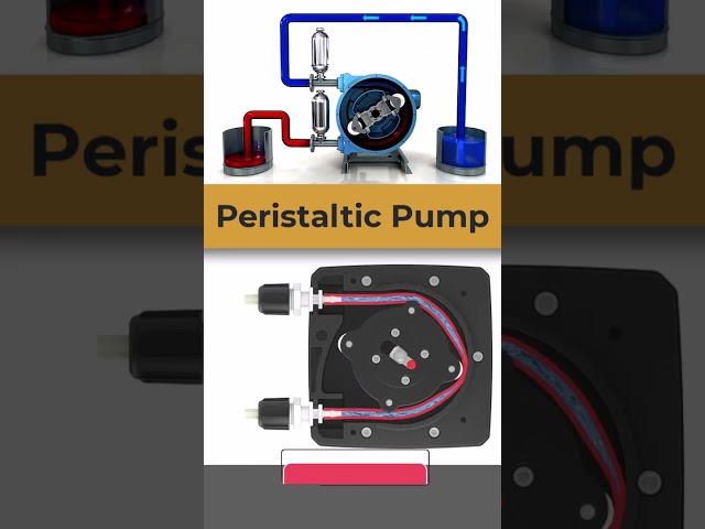 Peristaltic Pump Working Animation #animation