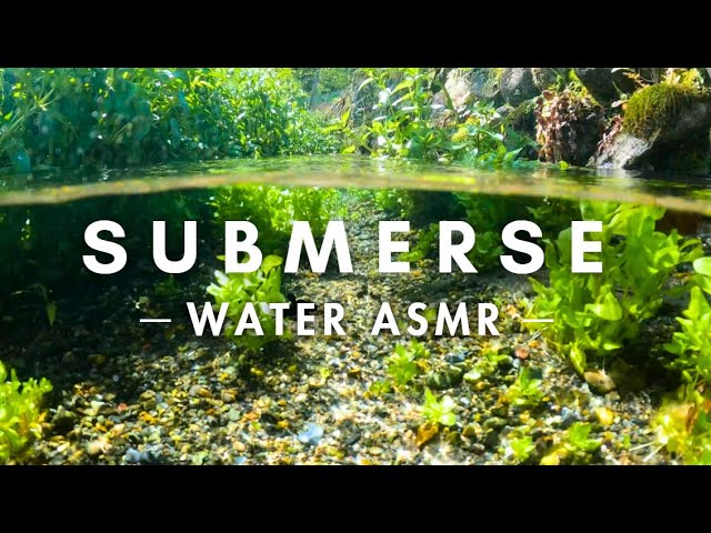 4K Immersive Water ASMR - Beautiful Freshwater Creek and Calming Water Sounds