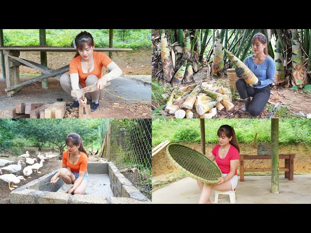 90 DAY BUILD OFF GRID FARM, DIY Crafting Everyday Items, Harvesting Bamboo Shoot [FULL VIDEO]