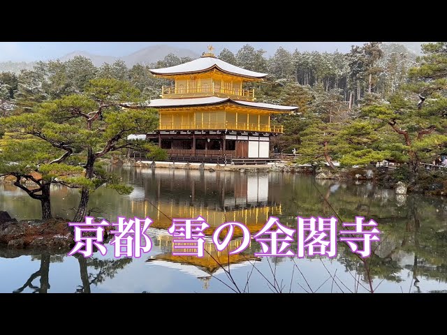 【4K】京都 雪化粧の金閣寺を散策 2021 Walking around Kinkakuji Temple
