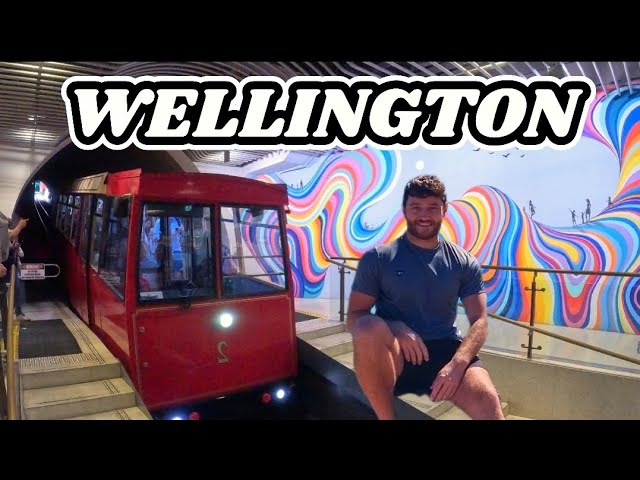 24 hours in Wellington 🇳🇿 New zealands Capital City