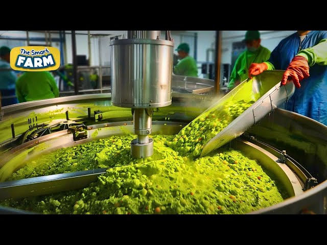 Avocado And Guacamole MEGA FACTORY: A Guacamole Mass Production Line!