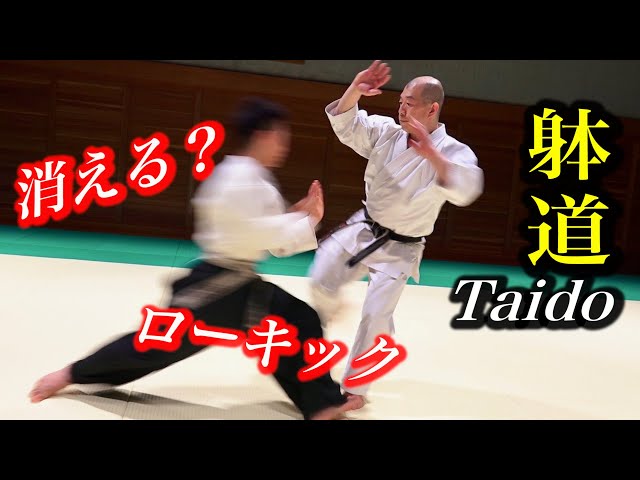 TAIDO vs Low Kick, Invisible speed!