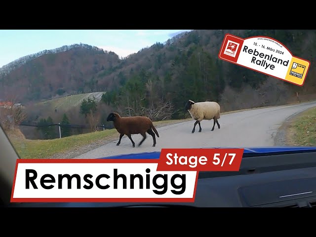 Rebenland Rallye 2024: Stage 5/7 Remschnigg | POV Recce