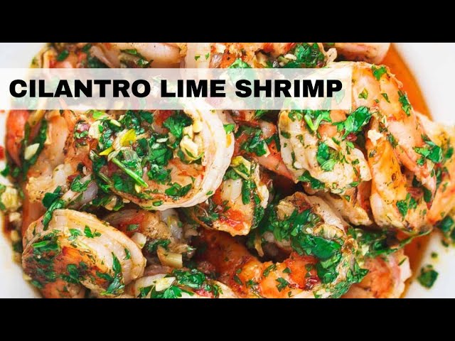 Cilantro Lime Shrimp Recipe | Easy Shrimp Recipe (Ready in 20 Minutes)