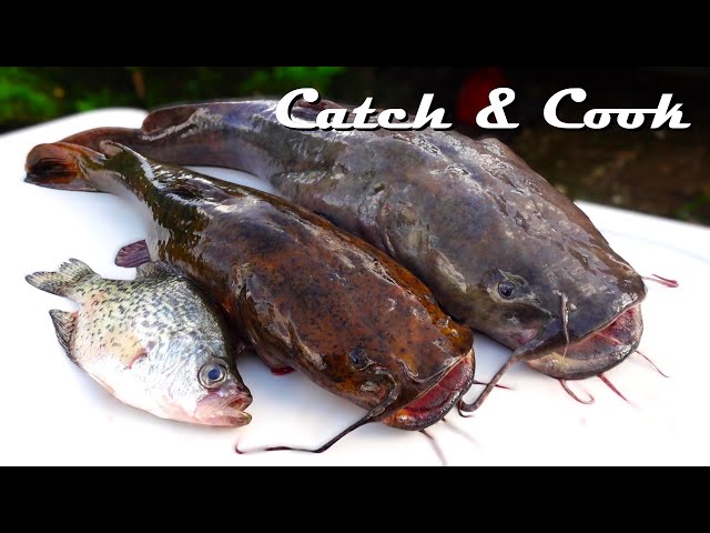 Catching Flat heads/Crappie on slip bobbers(Catch and cook)