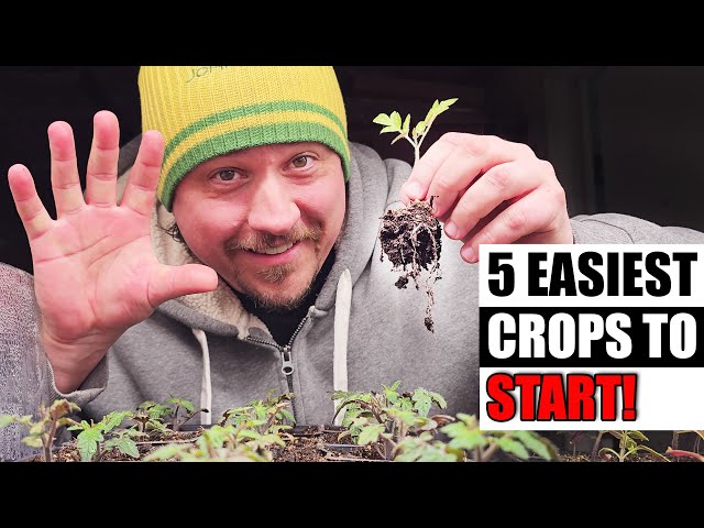 5 Easiest Crops To Start Early - Garden Quickie Episode 131