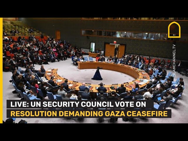 LIVE: UNSC vote on resolution to demand ceasefire