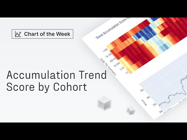 Chart of the Week: Accumulation Trend Score by Cohort