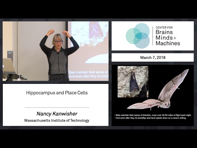 6.3 - Hippocampus and Place Cells