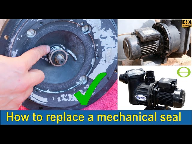How to change a universal mechanical shaft seal, impeller, o-ring on an Eartheco & Quality pool pump