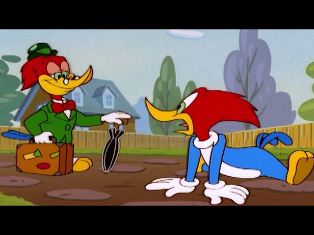 Woody and his evil twin have secret plans | Woody Woodpecker